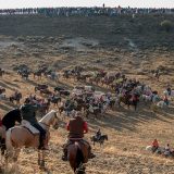 Un novillo mata a un vecino de Cuéllar en el último encierro