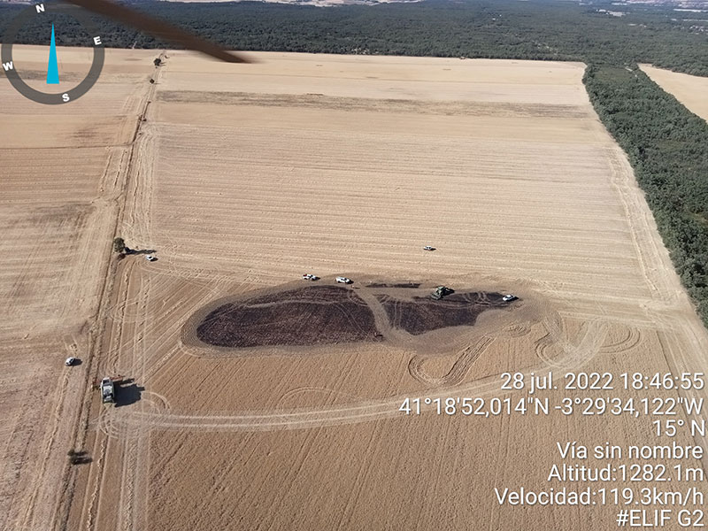 Extinguen las llamas en un cultivo pegado a una masa de �rboles en <h3 class='enlacePalabraNoticia'>Riaza</h3>