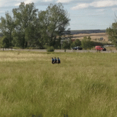 Una valla que no se cruzó