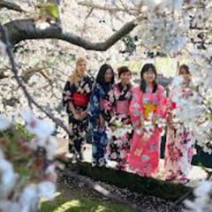 Tocones, cerezos, una casa en derribo y un aspirante a rector