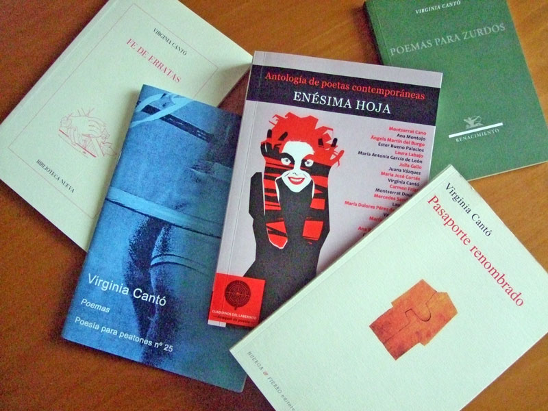 Otros libros de Virgnia Cantó.