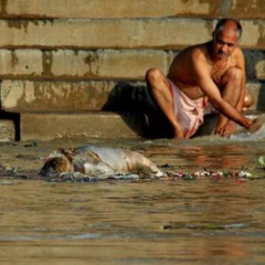 En San Juan no te bañes en el Eresma, aunque lo diga Felipe VI