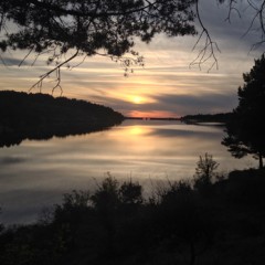 Qué bonito es el verano