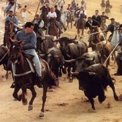 El mapa de los encierros a caballo en Segovia