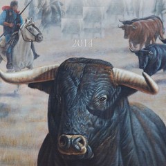 Los encierros de Cuéllar, fiesta de Interés Turístico Internacional