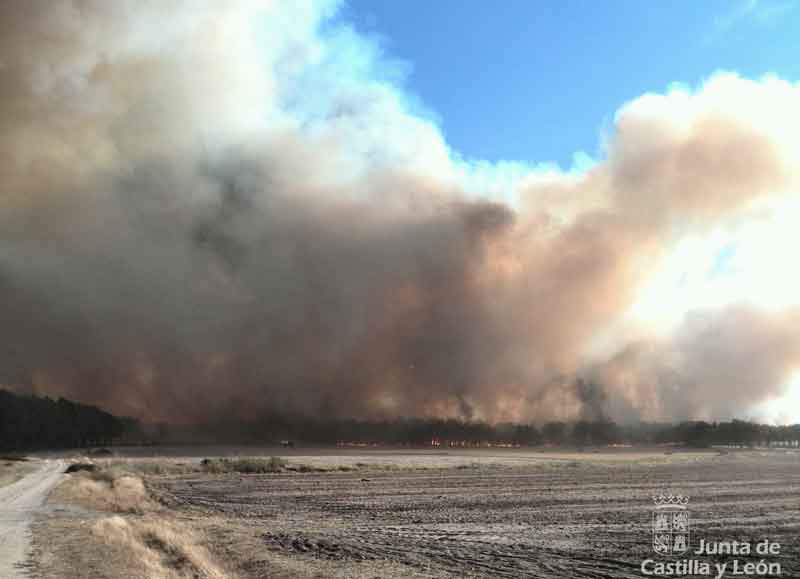 Incendio-Pinarejos-8-8-2014_1