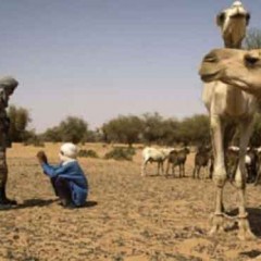 Opinión: ¿Y del Sáhara Occidental qué?