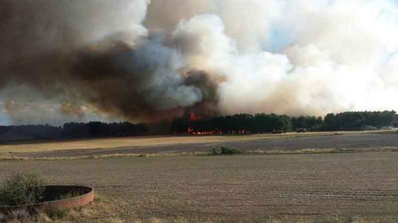Frente de fuego del incendio en la tarde de ayer. Foto Twitter APAMCyL.
