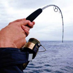 Los partidos buscan candidatos