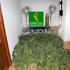 Caen dos traficantes de marihuana en El Espinar