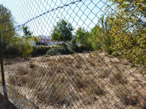 Parcela que aguarda las obras del futuro IES San Lorenzo.