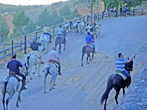 Pedraza, caballistas con los cabestros camino de la puerta de la Villa.