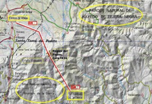 Hayedos de Tejera Negra y 