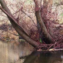 La Junta no sancionará a la empresa que pintó de rosa el Eresma