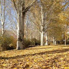Un rey de ficción, un marqués con premio y un político inquieto