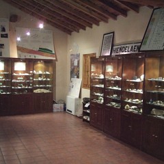 Valseca abre una biblioteca especializada en geología