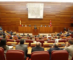 Cortes-regionales1(p)