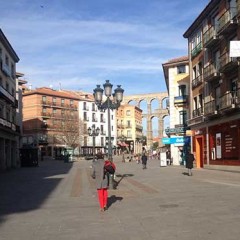 Retiran un enjambre de abejas en la avenida del Acueducto