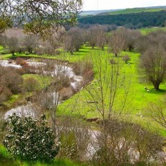 El río Moros o los misterios medioambientales de Segovia