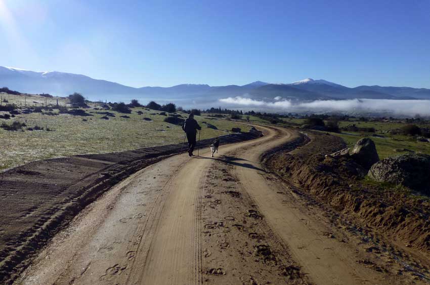 canadarealsorianaoccidental