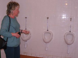 150316-Maroto-urinarios-la-Fuencisla1(g)