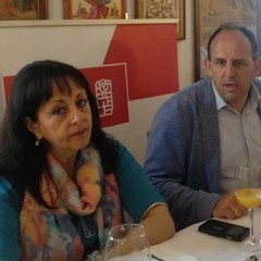 El PSOE pide una gestión comercial para Segovia 21