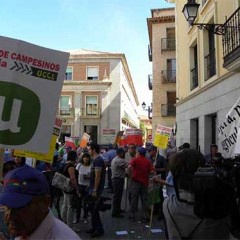 Más de 800 agricultores segovianos se manifiestan en Madrid