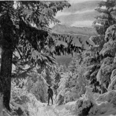 Camino Schimd -la Senda de Schmid- (y 3)