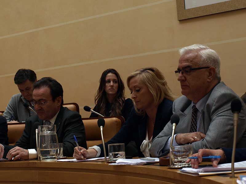 Pleno-Raquel-Fernández-Paco-Vázquez1(g)