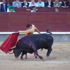 Dos toros discretos deslucen el debut de Víctor Barrio en Las Ventas