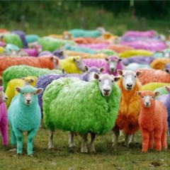 ¡Ojo! Tractores y ganado sueltos