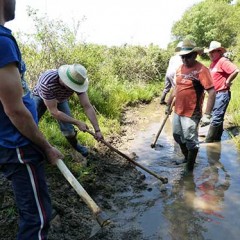 La comunidades de aguas, la Mesta de las caceras