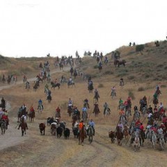 Medio centenar de guardias civiles, seis a caballo, en los Encierros de Cuéllar