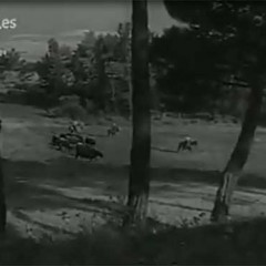 Encierros de Cuéllar, 1962