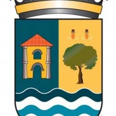 Palazuelos estrena nueva página web