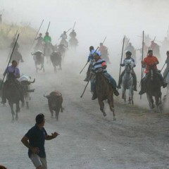 Los Encierros de Cuéllar reciben el Premio Tauromaquia 2018
