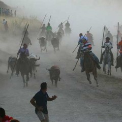 Partidos emergentes, frases improvisadas y toros a su bola