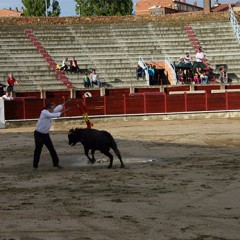 Los camareros se lanzan al ruedo