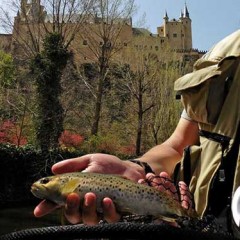La Junta sopesa declarar el Eresma como “aguas trucheras” a su paso por Segovia