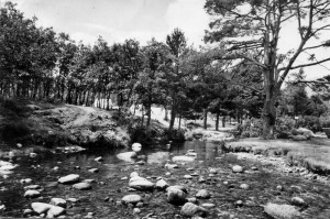 Paraje en El Paular, Rascafría.