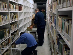 Dos operarios colocan libros en los estantes, aún vacíos en su mayoría.