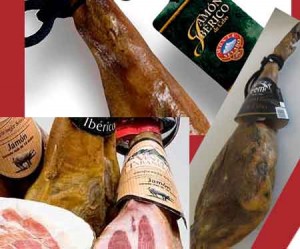 Jamonesmejoressegoviadestacada
