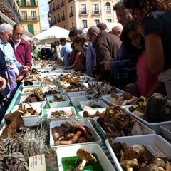 Casas vacías, otra campaña y un siervo bueno y fiel