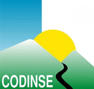 codinse
