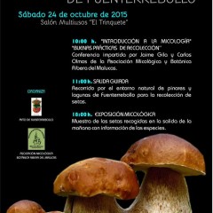 Aprende a buscar setas en Fuenterrebollo