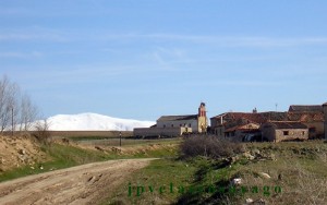  Mata de Quintanar, Segovia, al fondo Peñalara