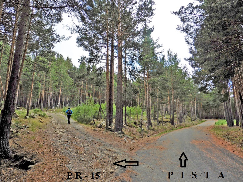Desvío del PR-15 en el camino forestal en la ‘Silla del Rey’.
