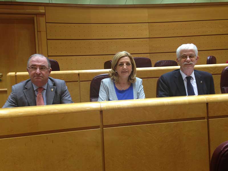 Santamaría (izda.), no repetirá como sus compañeros, Paloma Sanz y Juan Ramón Represa.