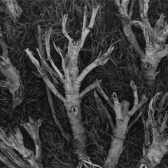 Javier Herrero: “Arco de Probabilidad” en el campus Zambrano