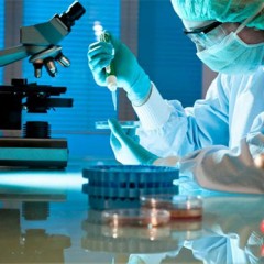 Premios Gómez de Caso a la investigación universitaria